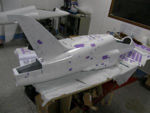 Hawk Prototype.JPG