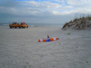Florida Lifeguard.jpg