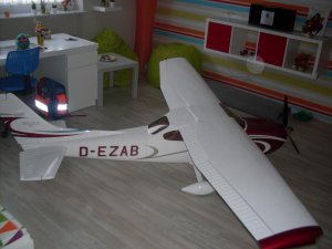 Bilder der fertigen Cessna vom Eirenschmalz und SBD Dauntless 014.jpg