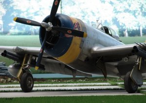 P-47_Finish-7.jpg