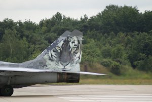MiG29_EHGR 3.jpg