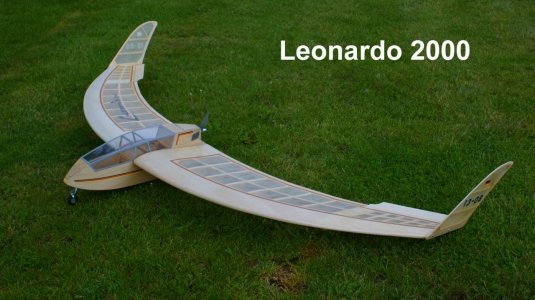 _Leonardo-2000_1.jpg