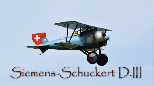 Siemens Schuckert D.jpg