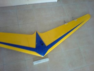 wing2.JPG