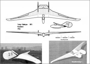 KN_1936_Flywing_Draw_Mini_TsAGI_BP3.jpg