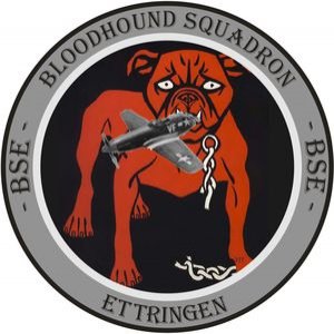 Bloodhound_Logo_Neu_klein.jpg