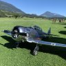 The Flying Kiwii