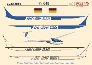 648-EM-Segelflug-DG300-ELAN-250.png