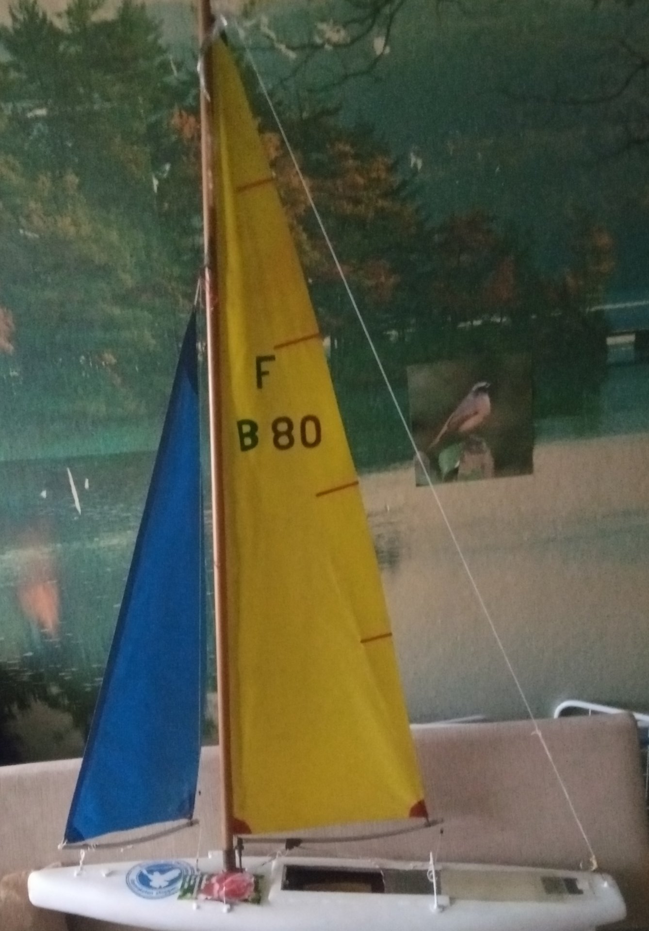 F            B             80.jpg