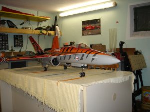 F 18 Tiger 001.jpg