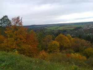Wächtersberg im Herbst RCN.jpg