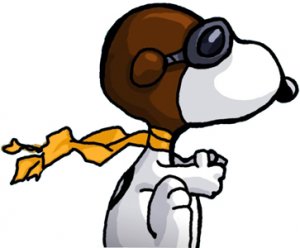 Snoopy Rechtsansicht01.jpg