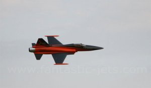 Fantastic-Jets-F-20-Überflu.jpg