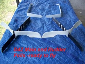 D4Z main and rudder foils ready to fly 007.jpg