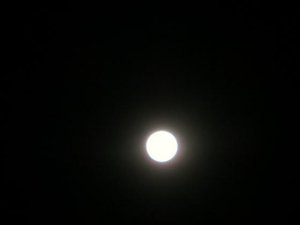 Mond 25.12.15 001.JPG