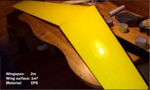 Albatros XXL flying wing project.jpg