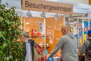 Messe Sinsheim 2017-4768.jpg