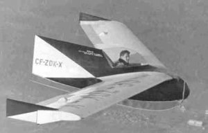 BKB-1 im Flug 2.jpg