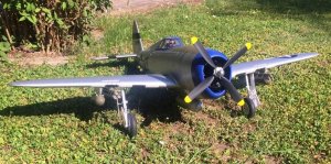 P-47 small.jpg
