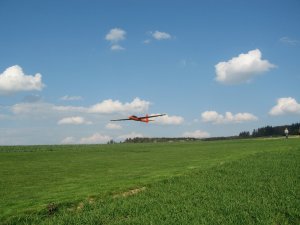 Swift Erstflug (21).JPG
