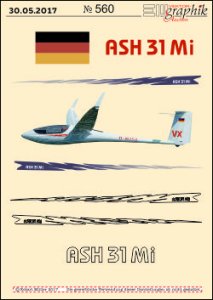 560-EM-Segelflug-ASH31Mi-250.jpg