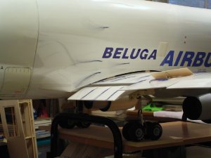a Beluga Strömung Flap 013.jpg