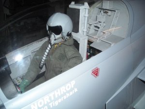 Cockpit-.JPG