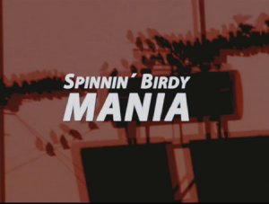 BirdyMania_Logo_gross.jpg