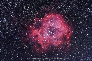 NGC-2244 - Rosettennebel_300s_dss_17L_4D_4B_4F_h2_p_hlvg_fhd_fc_usm1_f.jpg