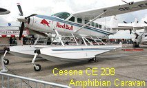 a_Cessna-Amphibian-.jpg