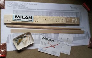 Bausatz Milan.jpg