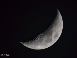 2021.02.17 Nachtfotografie-0360.jpg