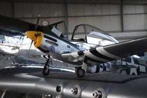 P-51-Mustand (3).jpg