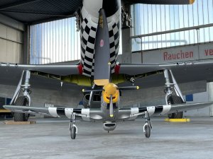 P-51-Mustand (7).jpg