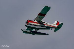 2021.08.15 Bönigen Seaplane Meeting-1613.JPG