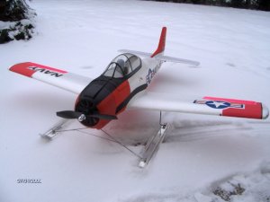 T-28 Snow.jpg