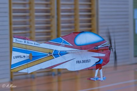 2022.11.20 Deutsche Meisterschaft Indoor Kunstflug 2022-0294.JPG