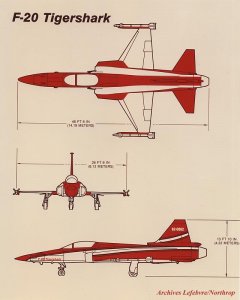 F-20 Grafik 001.jpg
