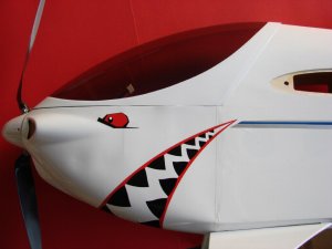 Shark 029.jpg