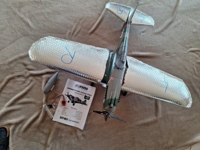 P-40 FMS 08.jpg