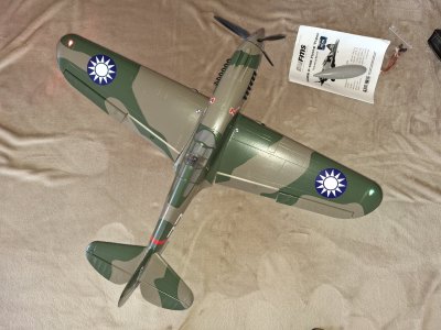 P-40 FMS 13.jpg
