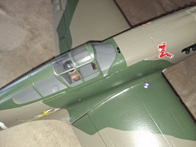 P-40 FMS 15.jpg