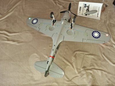 P-40 FMS 16.jpg