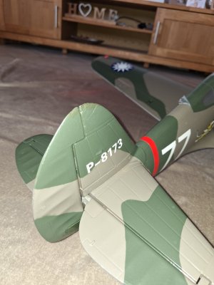 P-40 FMS 19.jpg