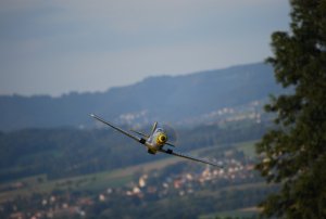 Warbirds in Isenbergschwil 033.jpg