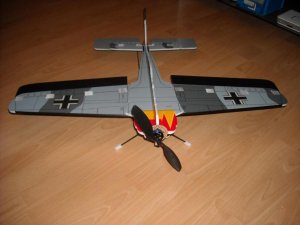 Focke 2.jpg