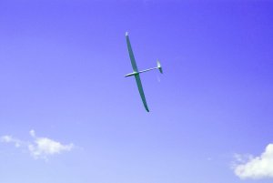 Albatros Vorbeiflug.jpg