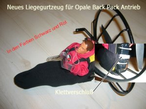 Back Pack Neues Gurtzeug1.JPG