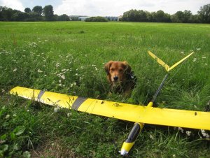 Hund-mit-Flugzeug-Idylle (2) klein.jpg
