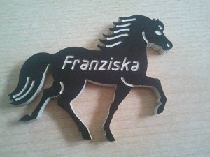 Pferd Franzi.jpg